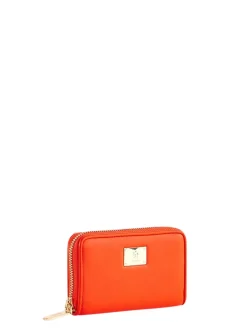DELFY Portafoglio small