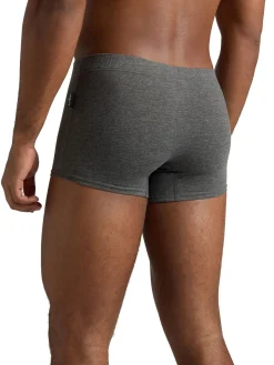 GIL 3 Truncks Boxer