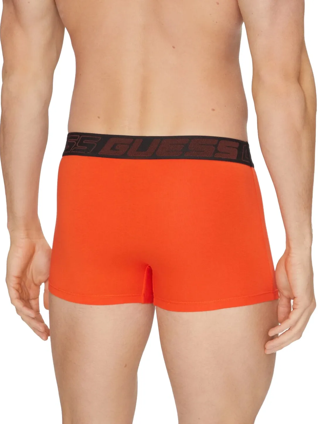 JOE 3 Boxer multicor
