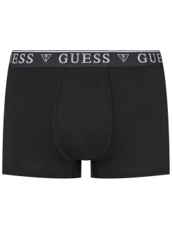 LOGO CLASSIC 5 Boxer multicolor