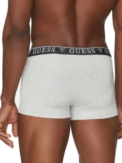 LOGO CLASSIC 5 Boxer multicolor